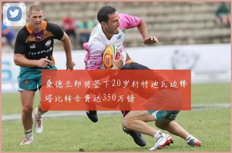 桑德兰即将签下20岁科特迪瓦边锋塔比转会费达350万镑